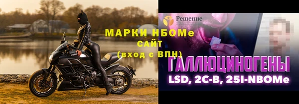сатива Заводоуковск