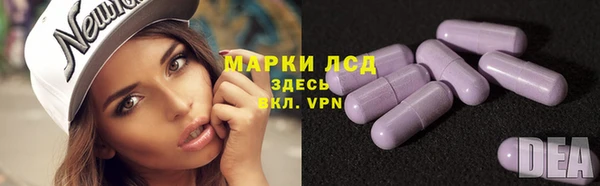 сатива Заводоуковск