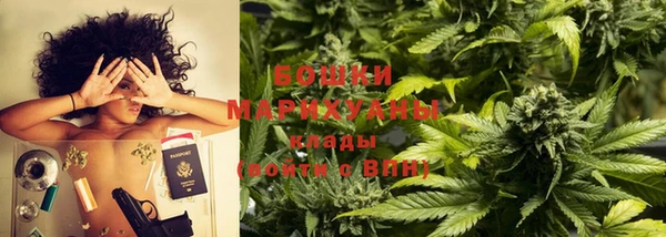индика Зерноград