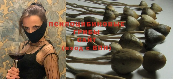 сатива Заводоуковск