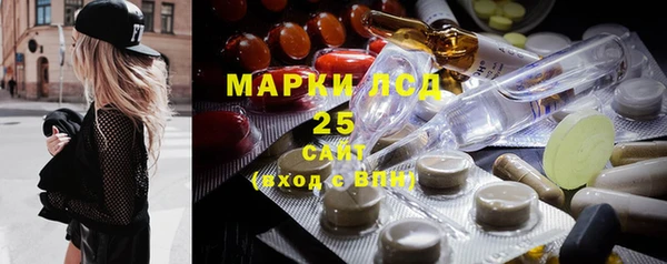 сатива Заводоуковск