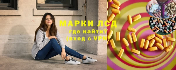 сатива Заводоуковск