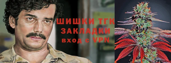 сатива Заводоуковск