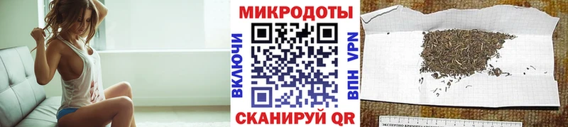 Псилоцибиновые грибы Psilocybe  Купить закладки  Харабали
